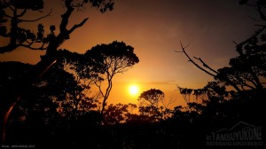 Mount Tambuyukon Expedition   